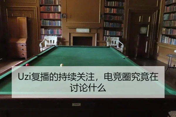 Uzi复播的持续关注，电竞圈究竟在讨论什么（NG app）